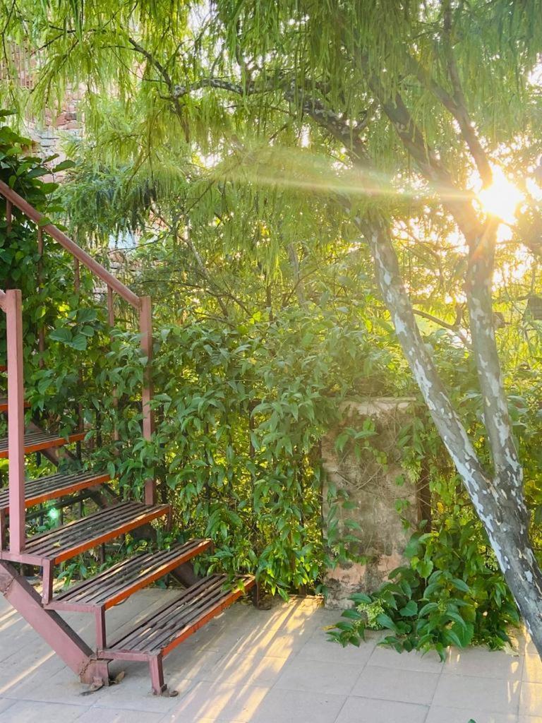 Bed and Breakfast The Secret Garden Пушкар Экстерьер фото